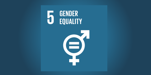 Migrants and SDG #5: Gender Equality