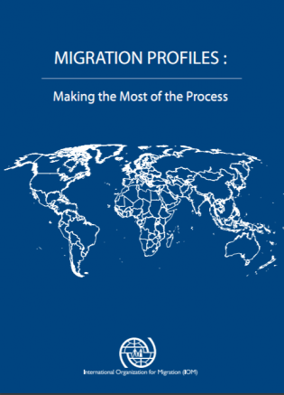 Migration Profiles: Making the Most of the Process