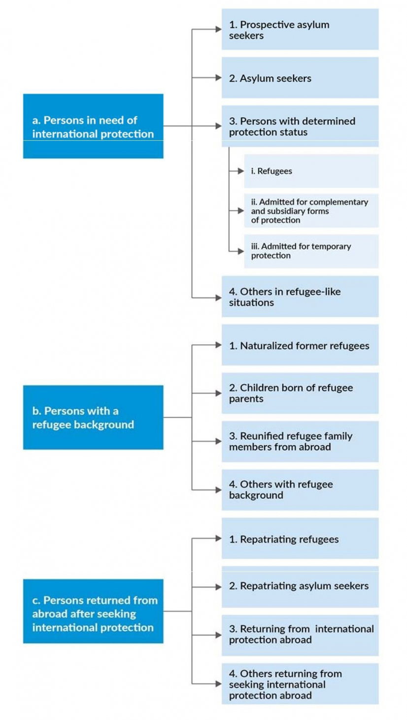 The statistical framework for refugee and asylum statistics