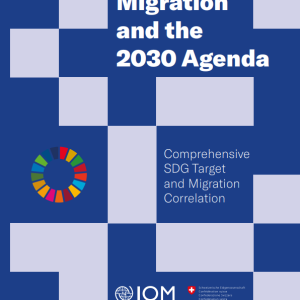 Migration and the 2030 Agenda: Comprehensive SDG target and migration correlation